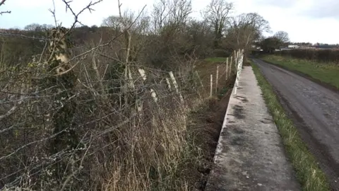 LDRS Fence alongside Abbey Road, Rhuddlan