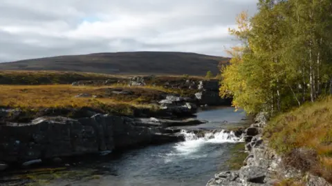 Upper Dee Tributaries Project Deeside