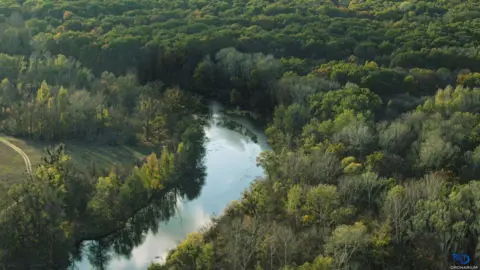 Dronarium Ukraine A river snaking through a forest in Ukraine