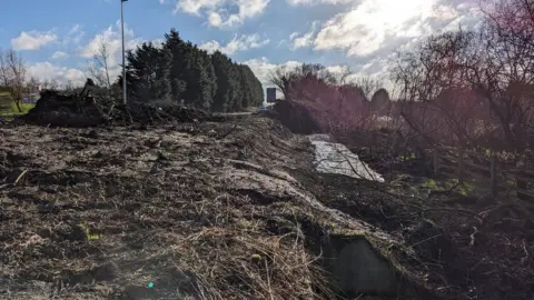 BBC/Tara Dolby The ground where trees were felled