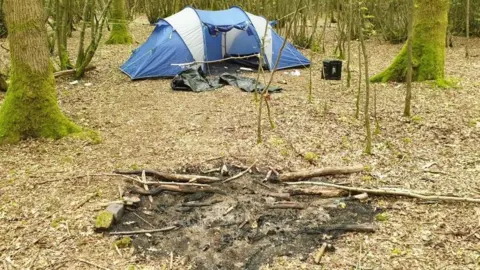 The Woodland Trust Dering Wood, Kent