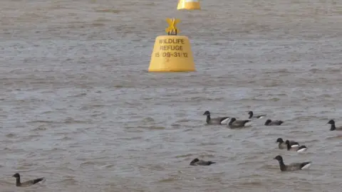 East Devon District Council Wildlife refuge zone