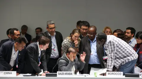 IISD/ENB - Kiara Worth negotiators