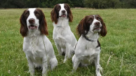 Georgia Binkhorst  Holly, far right, and her two siblings