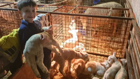 Elliw Angharad Gruff and some lambs