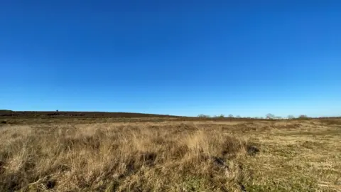 Edd Smith Roydon Common, west Norfolk