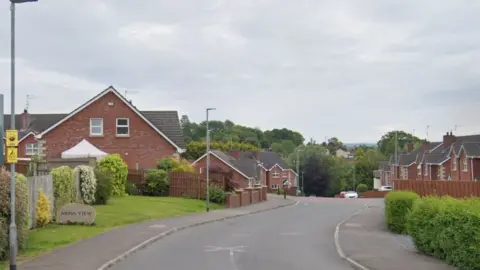 Google Maps Moss View