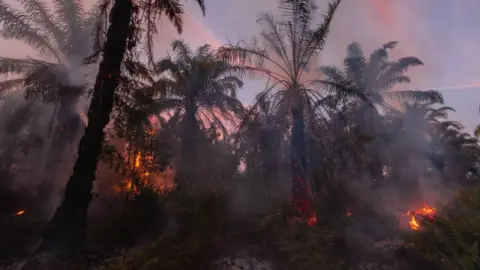 Getty Images A forest on fire in Indonesia to make way for an oil palm plantation