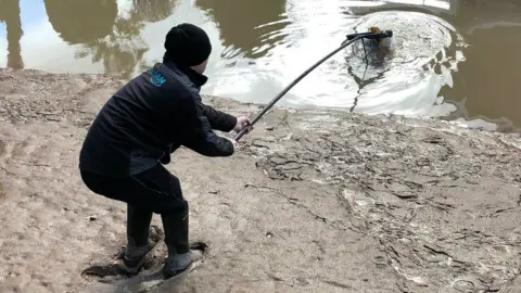 Richard Greenfield Man fishes carp out of draining canal