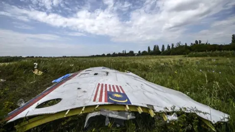 AFP A piece of the wreckage of the Malaysia Airlines flight MH17 is pictured in a field near the village of Grabove, in the region of Donetsk on July 20, 2014.