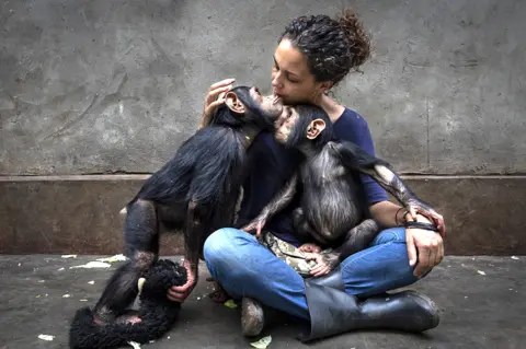 Brent Stirton/WPY Chimps