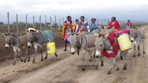 Brooke Women collect water with their donkeys in Kenya