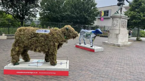 Cows About Cambridge Cow sculpture