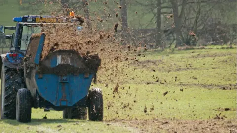 Getty Images A tractor muck-spreading