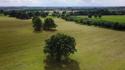 A countryside scene