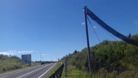 Nick Horton Dormice bridge