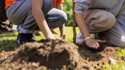 Reuters Tree planting