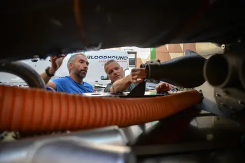 PA Media Bloodhound