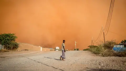 Getty Images A man walks in front of a sandstorm in Dollow, southwest Somalia. People from across Gedo in Somalia have been displaced due to drought conditions and forced to come to Dollow, in the southwest, to search for aid