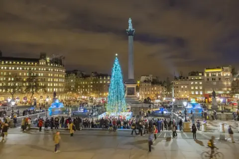 Getty Images The tree in 2017