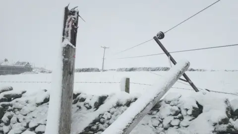 Energy Networks Association Power line down in the snow