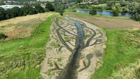 Nene Rivers Trust South Meadow on Wicksteed Park land in Kettering