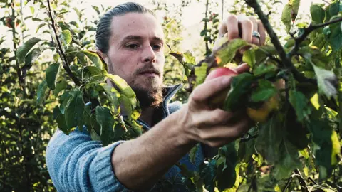 Getty Images Man picking fruit