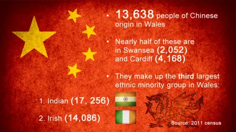 Graphic illustrating ethnic minority populations