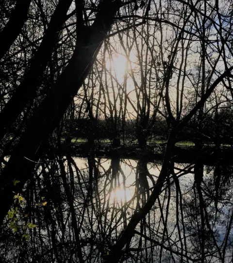 Elin Toft A mild sun sets behind trees along the Thames.