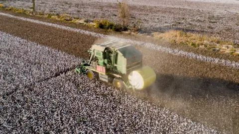 Getty Images Cotton harvester in Xinjiang