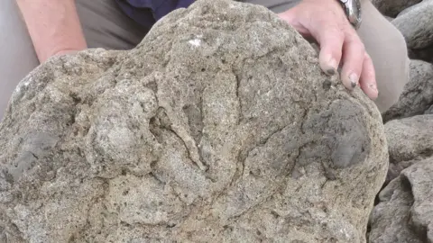 University of Portsmouth/PA Media A theropod (three-toed) print, from a flesh-eating dinosaur like the T-Rex