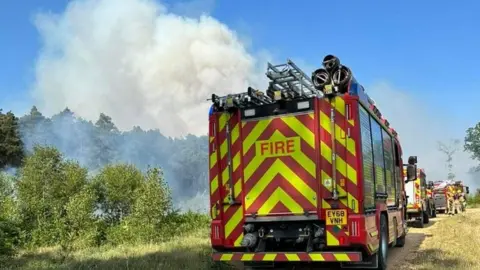 HIWFRS Warren Heath Plantation, Hartley Wintney