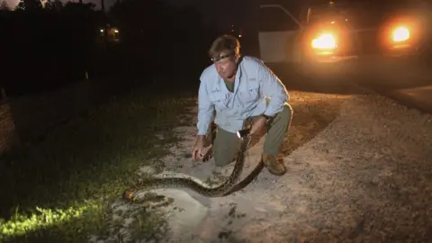 Getty Images A man holds a python wrapped around his arm