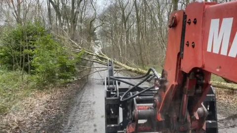 National Trust – Gareth Jones Clumber Park