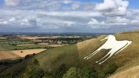 BBC The White horse in Westbury, Wiltshire