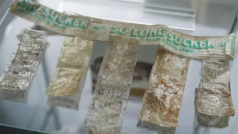 Mike Liggins/BBC Items of litter in the litter museum