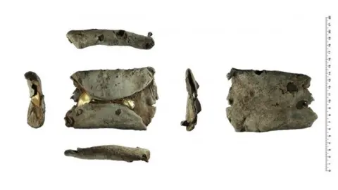 British Museum’s Portable Antiquities Scheme Lock ring