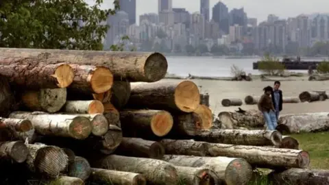 Getty Images Canadian logging