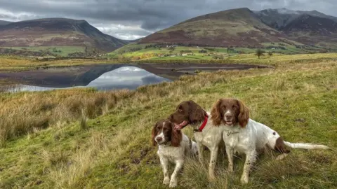 Kerry Irving The dogs sit beside Tewitt Tarn