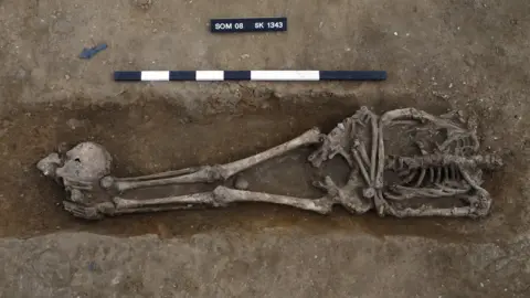 Dave Webb, Cambridge Archaeological Unit Skeleton with skull at head, Knobb's Farm, Somersham