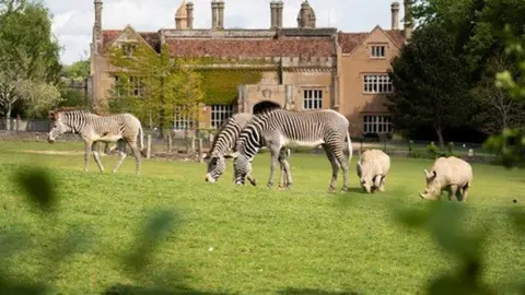 Zoos reopening What will change for visitors