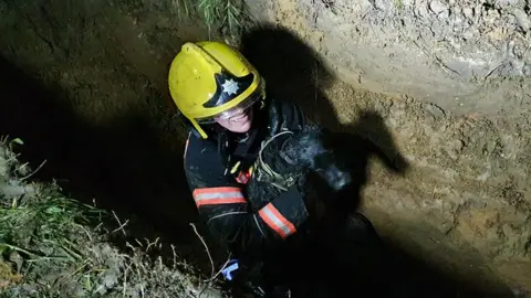 Cambridgeshire Fire and Rescue Service Daisy in firefighter's arms