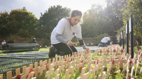 Matt Alexander Remembrance Poppies