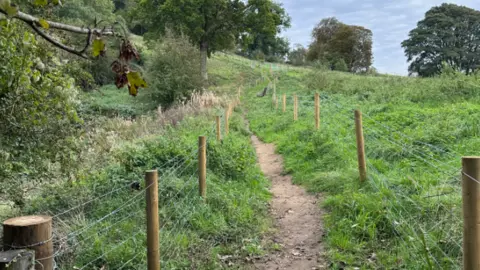 Chas Townley A path on Verney Fields bordered by trees and fence posts