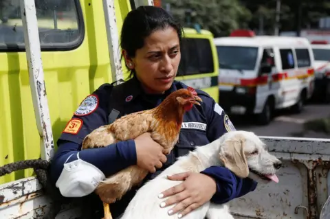 Reuters Firefighters rescue animals