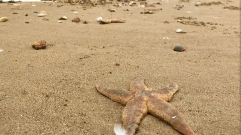 Lizzie Bruce Hunstanton beach debris