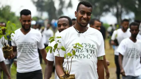 Getty Images Addis tree planter