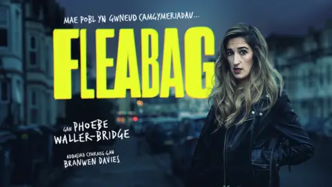 Theatr Clwyd Theatr Clwyd poster for Welsh Fleabag