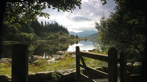 Welsh Government  View over a lake