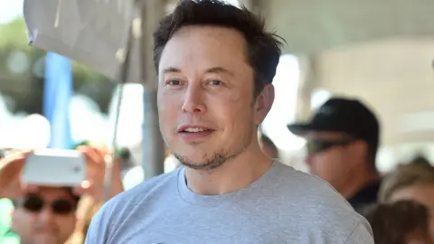 Getty Images Elon Musk